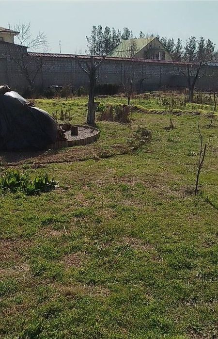 2 участка по 6 соток + по 2 сотке самозахвата на каждый участок