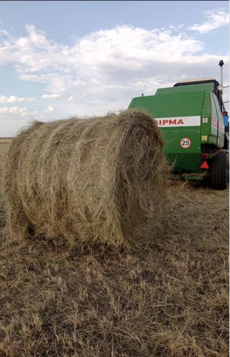Продам сено житняк
