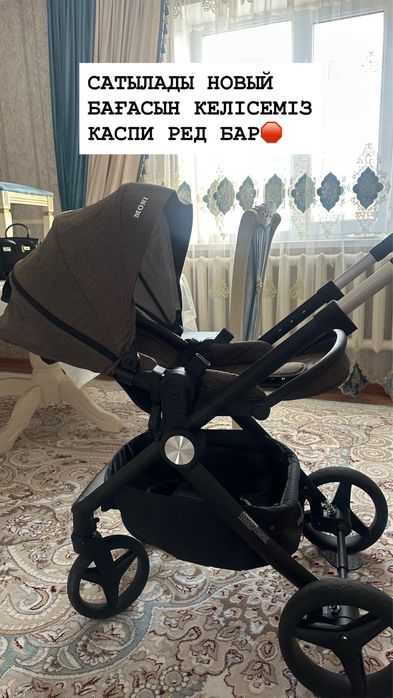 Коляска Новый Moni