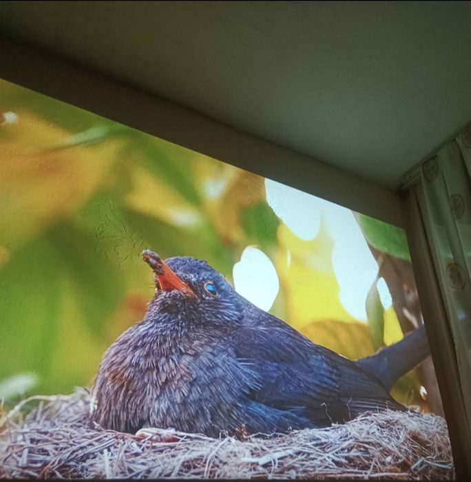 Проектор Смарт 300 Pro. Wifi Smart Proyektor