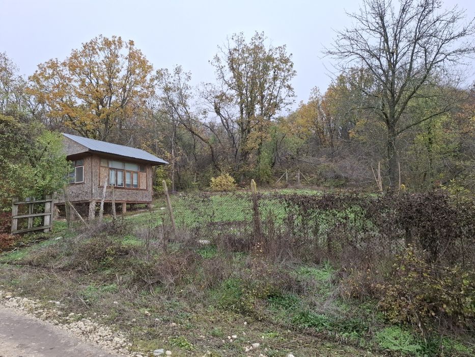 Предлагам място за пчелин в местност кълнежа, до резерват Сребърна