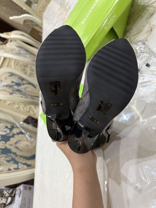 Сапошка Куз ва Бахор ги сезон