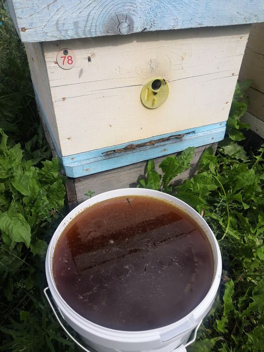 Продается натуральный мёд