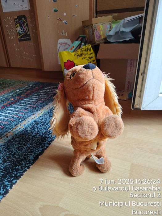 Câine interactiv