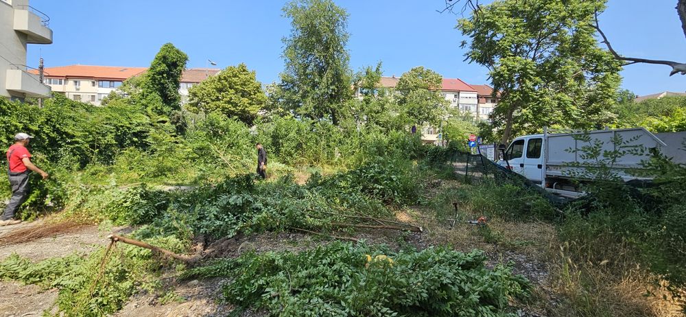 Curatenie gradini terenuri