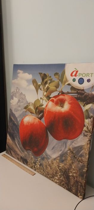 Картина Апорт на фоне гор