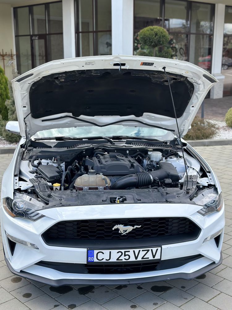 Ford Mustang 2.3ecoboost 2019