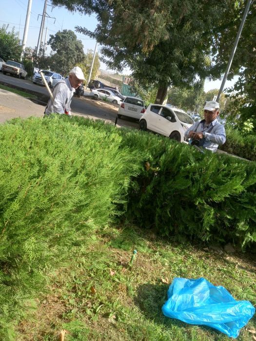 Archa va Shamshodlarga Shakl beramiz