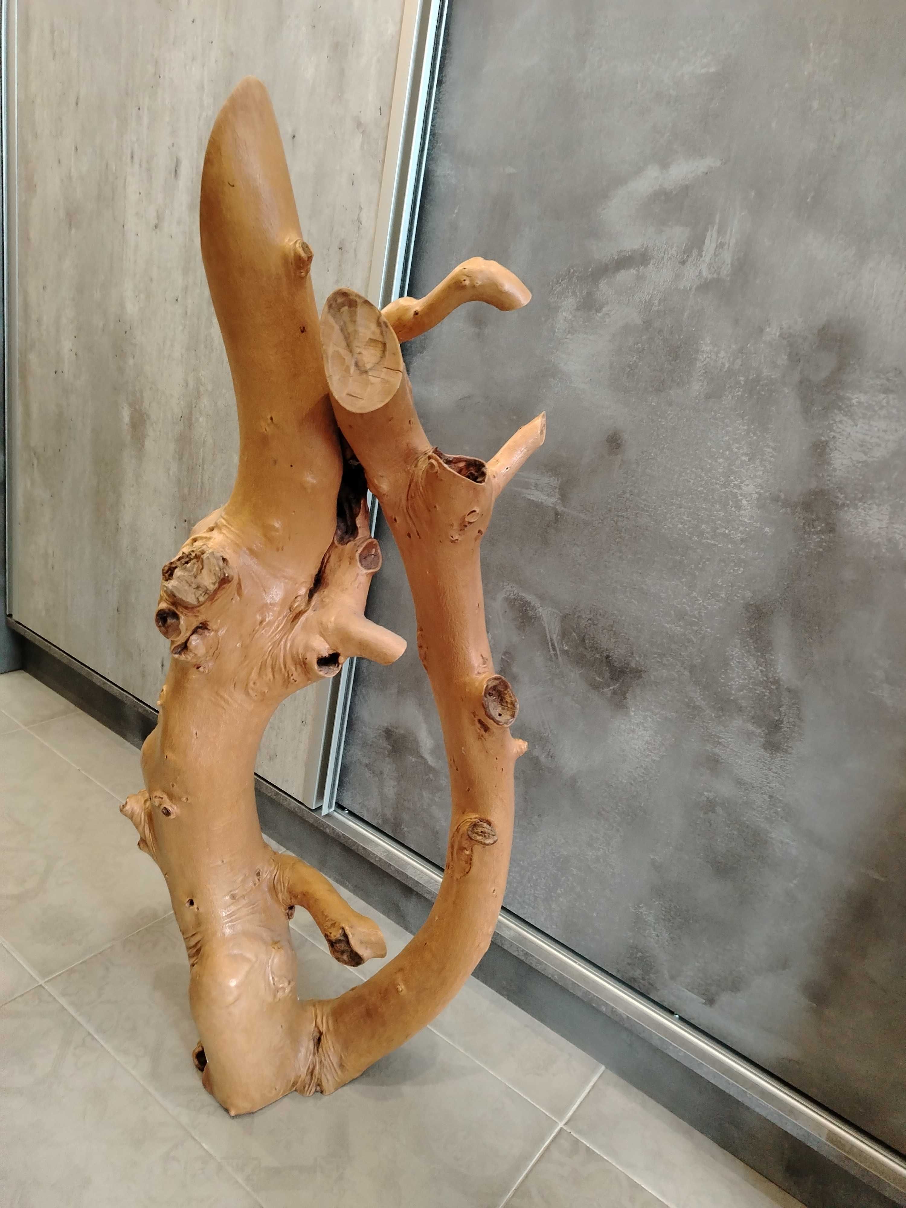 Декоративен корен
