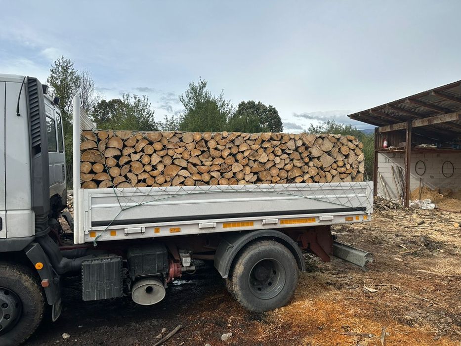 Lemne de foc esență tare