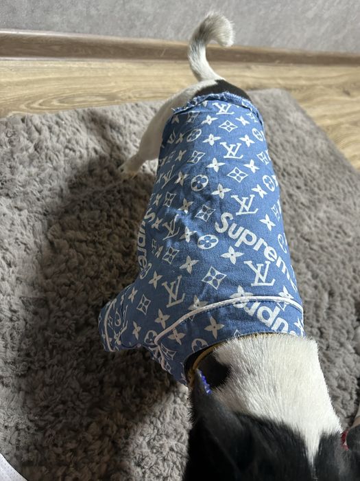 Вещи для собак. В отличном состоянии