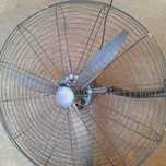 Ventilator  devorga osadigan sotiladi