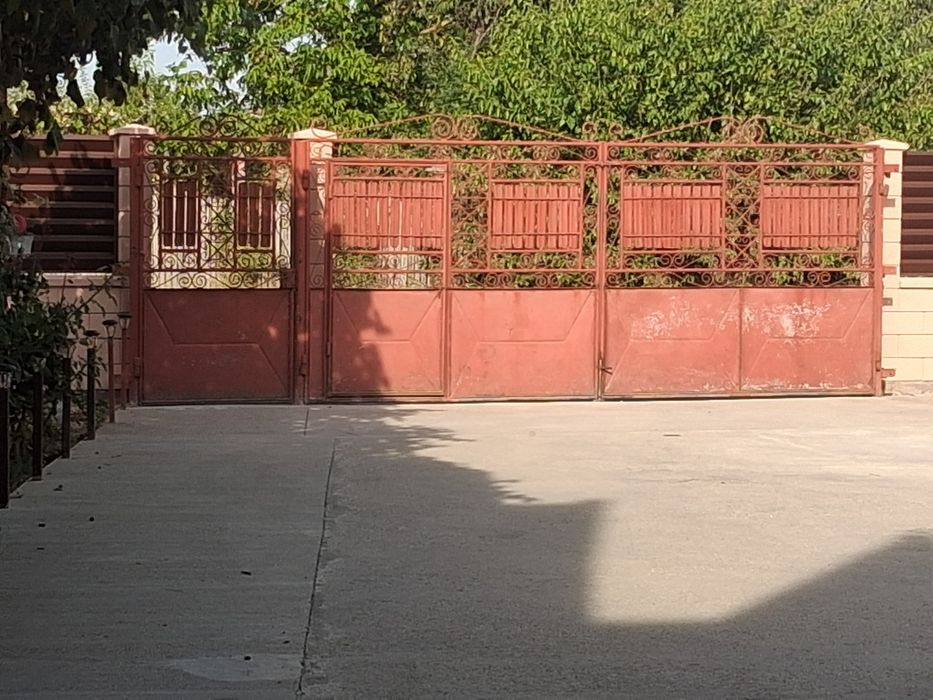 Porți auto și  una pietonala