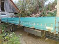 Bena galvanizata