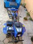 Vand motocultor cu remorca si accesorii
