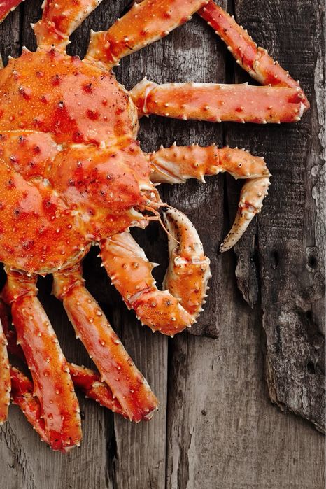 Камчатский краб г.Алматы