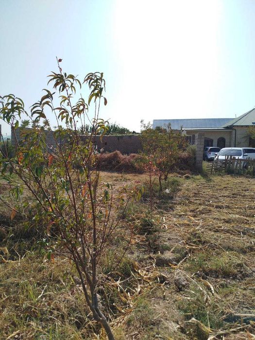 Shahar yaqinida barcha sharoitlarga e'ga yer maydoni sotiladi