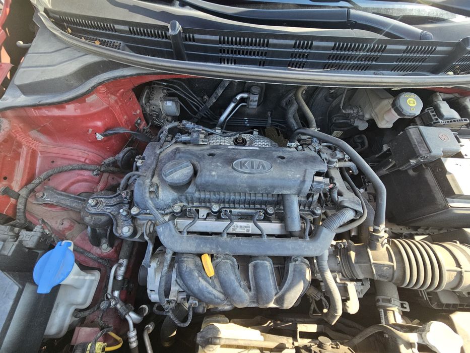 Kia Rio 2019, автоматик, 1.4 бензин, 100 к. с.