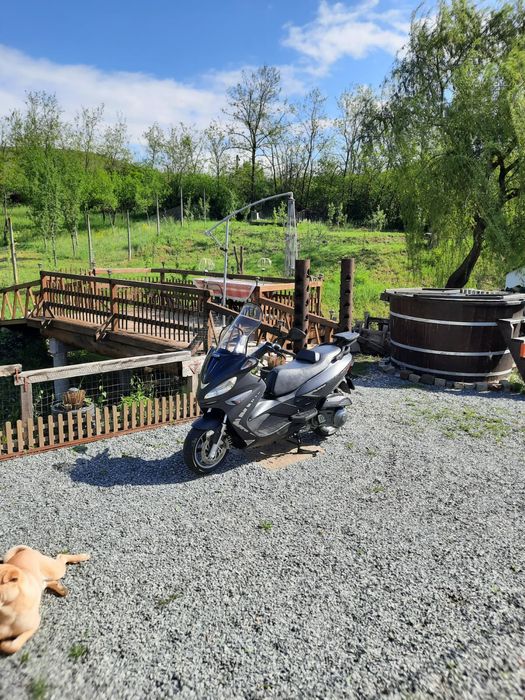 Scuter Malaguti Madison de vânzarea