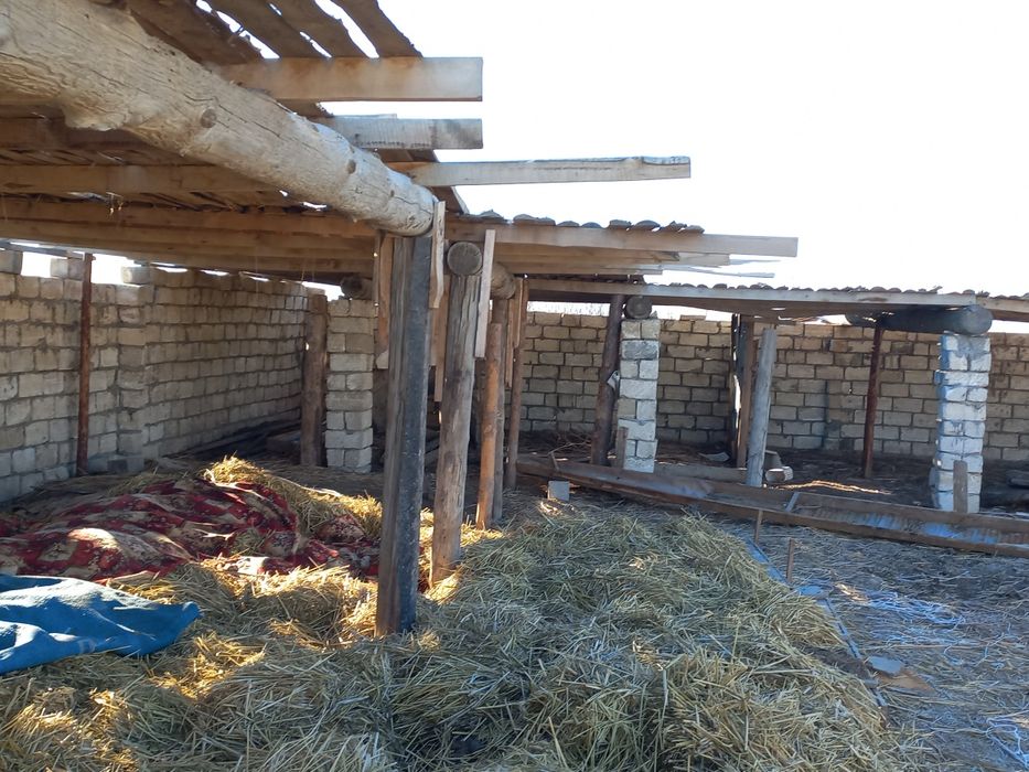 Тез Арада 10 сотық жер сатылады автоцонға қарама-қарсы