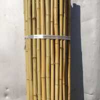 Бамбук палки стволы