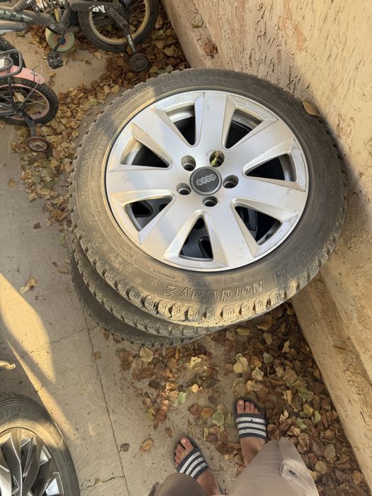 Балон титанкамен 205,55,16