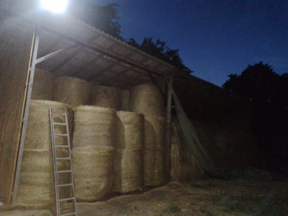 Vând baloți de fân rotunzi, calitatea întâi, 300 lei/buc