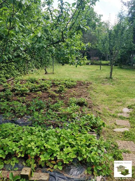 Продава се Парцел в Велико Търново, Бузлуджа - 1121 кв.м за 108 €/кв.м - Снимка #5