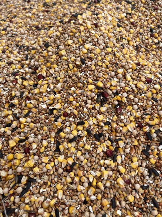 Mancare porumbei amestec sac 30 kg 12 seminte