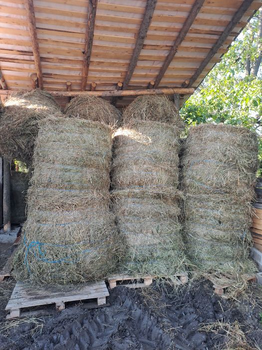 Baloti de fan ,coceni si paie