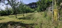 Vand teren 1000 mp zona Deal Lempes Brasov.