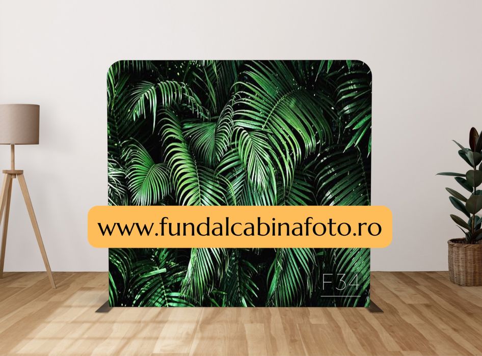 Panza Fundal Foto Fundal Cabina Foto Fundal Oglinda Foto