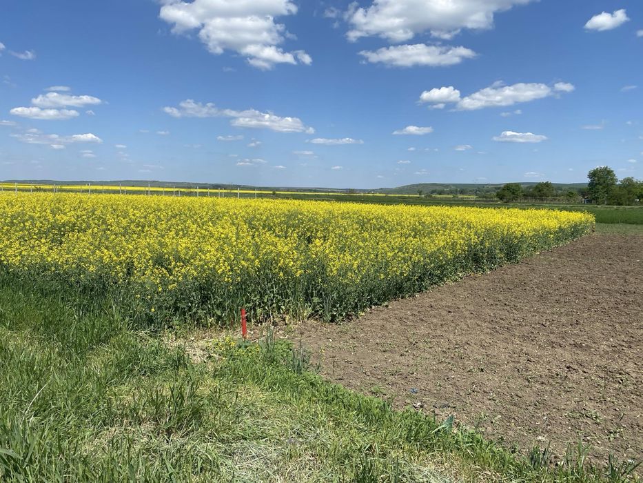 Teren de vanzare - Roman