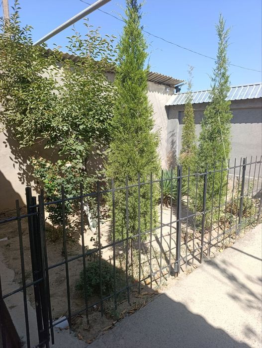 Уй сотилади 8 соток 10 хона Кибрай туманки Илгор махаллада ески Бирлик