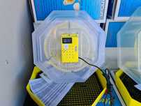 Clocitoare electrica CLEO  ( Incubator oua ) cu termometru