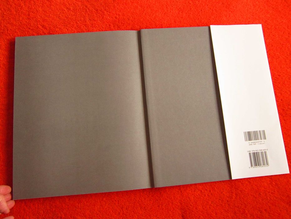 cadou rar Yad Vashem 2005 Muzeul Arhitectura memoriei Ierusalim