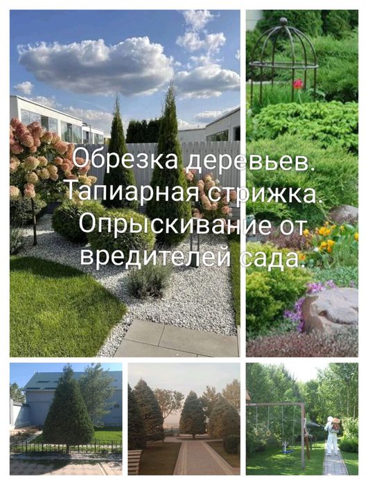 Уборка территории. Обрезка деревьев