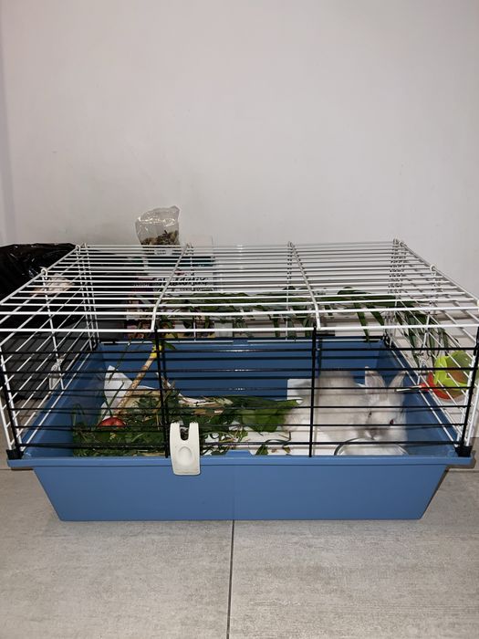 Cusca pentru iepuri / rozatoare