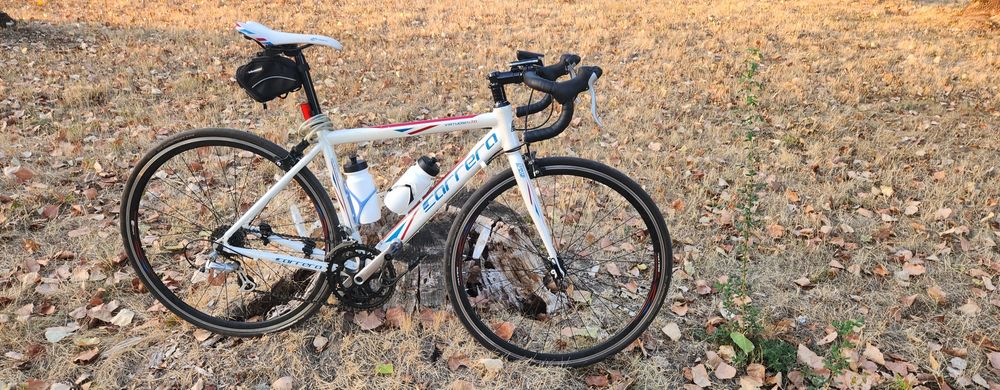 Cursiera Carrera Virtuoso LTD