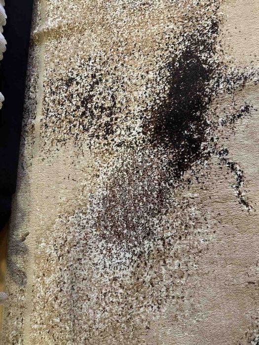 Продавам килим 193см/320см . Производител Сливен