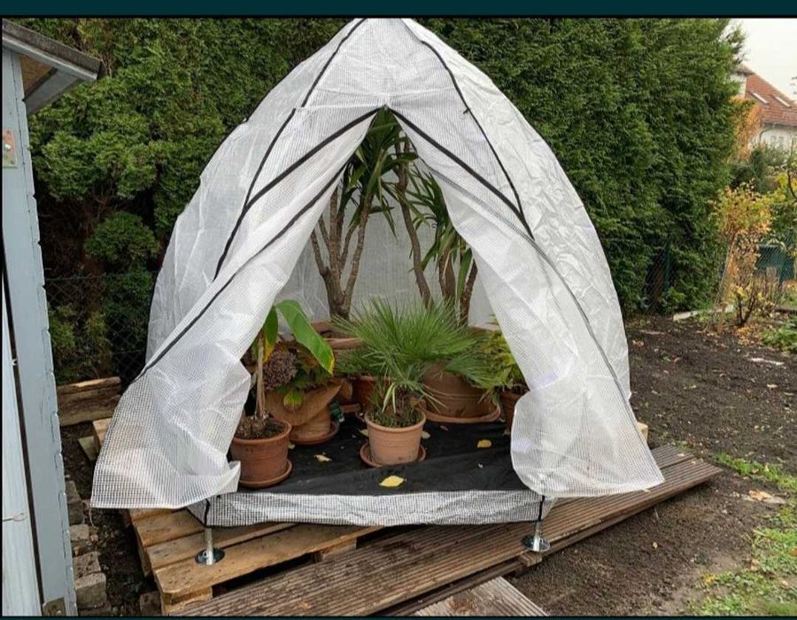 Seră de iernare BioGreen Tropical Island. (NOUĂ)