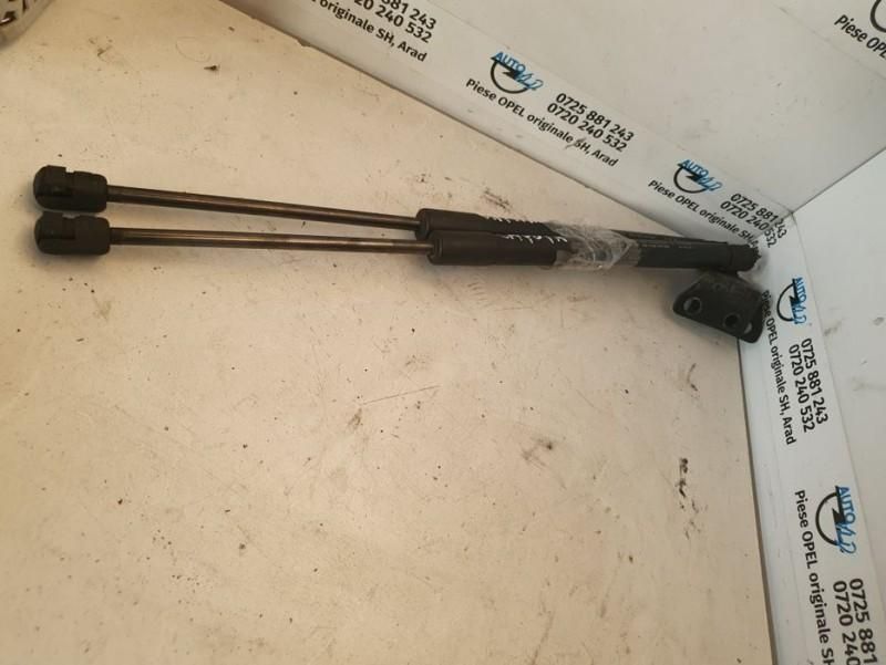 Amortizor haion stanga spate dreapta spate Chevrolet Captiva C100, C14