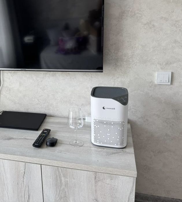 Воздухоочиститель HANZO Z14