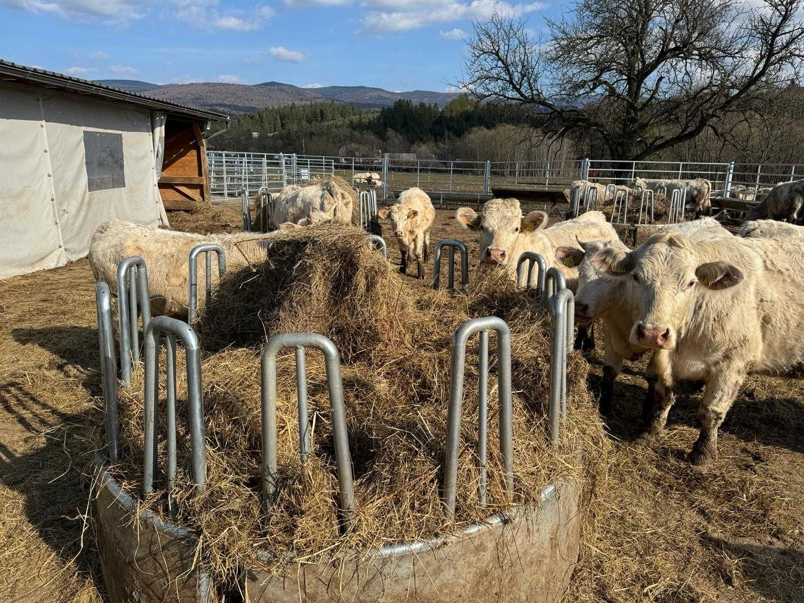 Iesle pentru bovine (cilindrică) 12 locuri, galvanizată/ consolidată