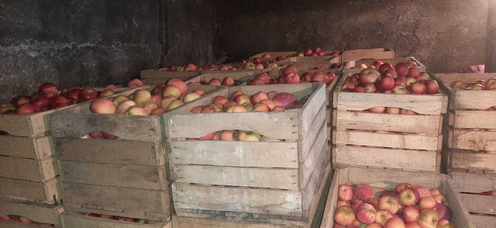 Vând mere proaspete, gustoase și sănătoase!