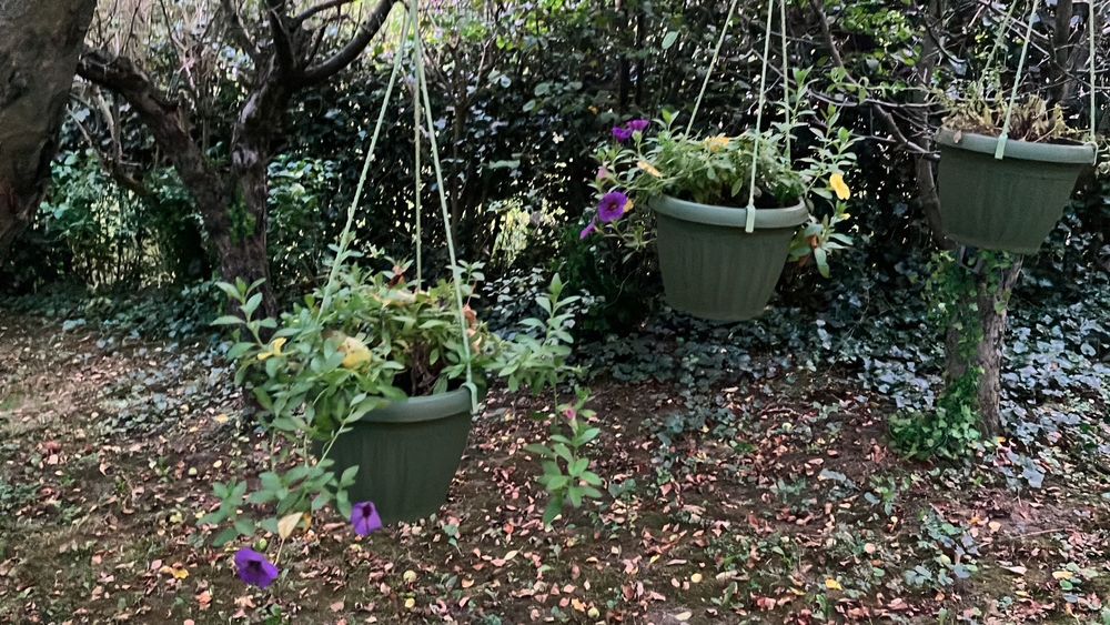 Vand teren din zona Platou Tudor