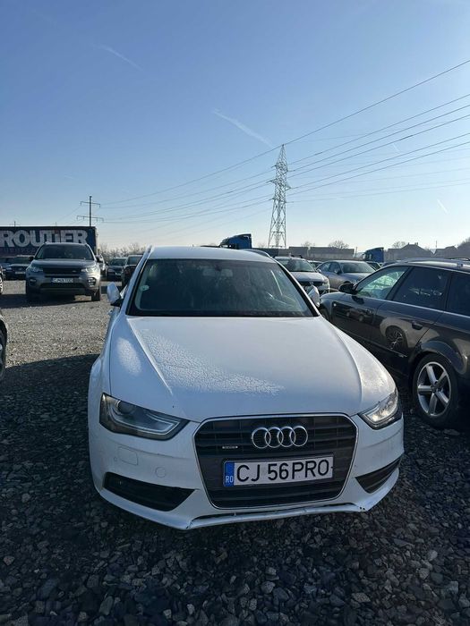 Vand sau skimb  cu duster