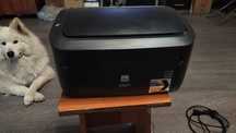 Продам принтера HP-1010  и Canon LBP6000B  Canon LBP3010B в  ОТС
