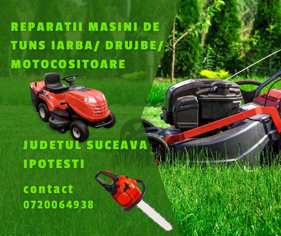 Reparatii motocoase / drujbe / motocultoare