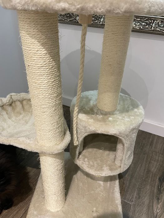 Котешка катерушка